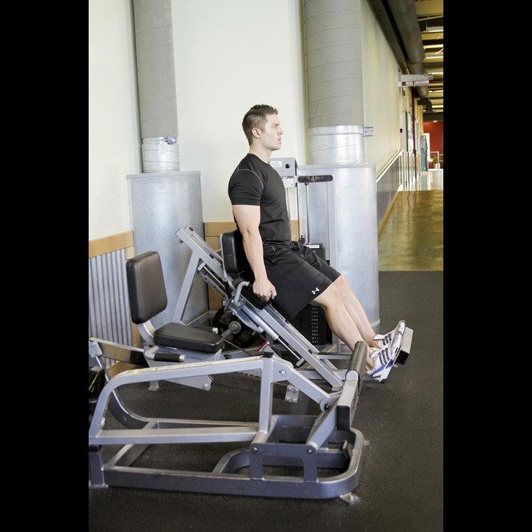 техника выполнения упражнения: Жим икроножными мышцами (Calf Press) на фото
