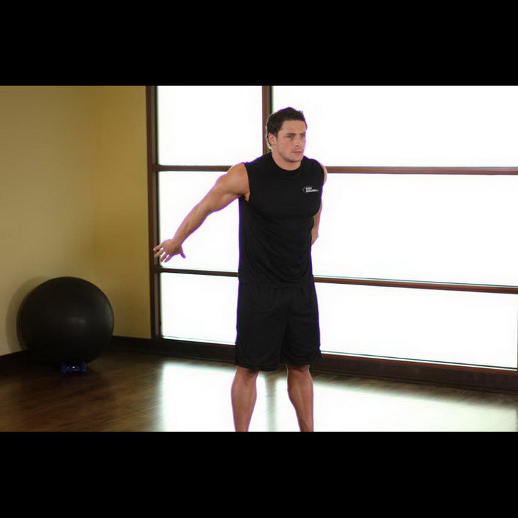 техника выполнения упражнения: Динамическая растяжка спины (Dynamic Back Stretch) на фото