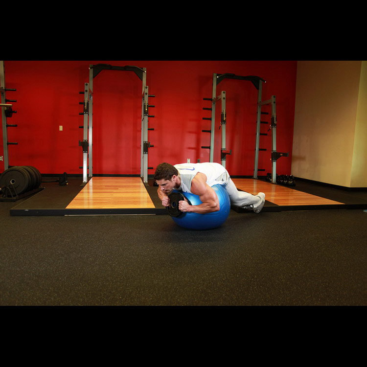 техника выполнения упражнения: Гиперэкстензия на фитболе (Weighted Ball Hyperextension) на фото техника выполнения упражнения: Гиперэкстензия на фитболе (Weighted Ball Hyperextension) на фото