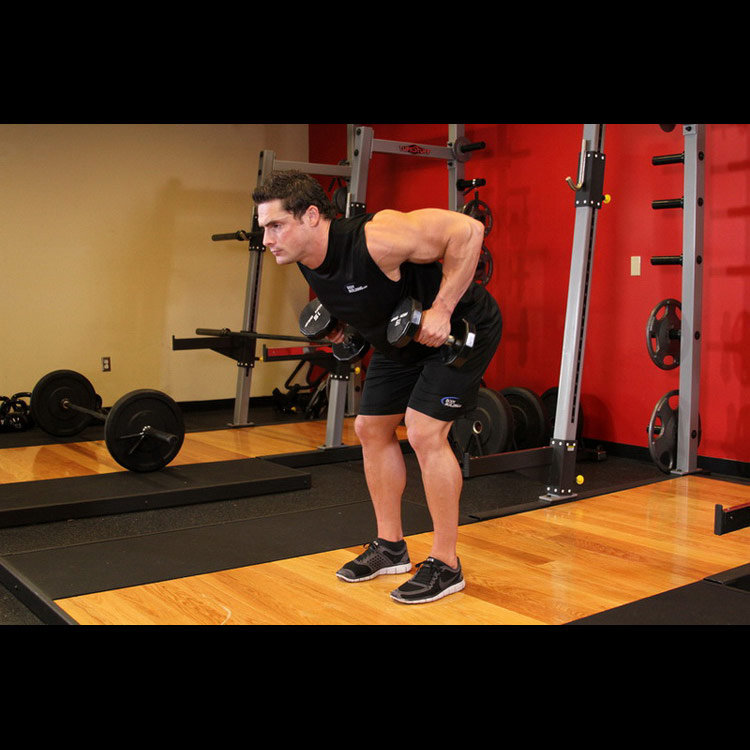 техника выполнения упражнения: Тяга гантелей в наклоне (Bent Over Two-Dumbbell Row) на фото техника выполнения упражнения: Тяга гантелей в наклоне (Bent Over Two-Dumbbell Row) на фото