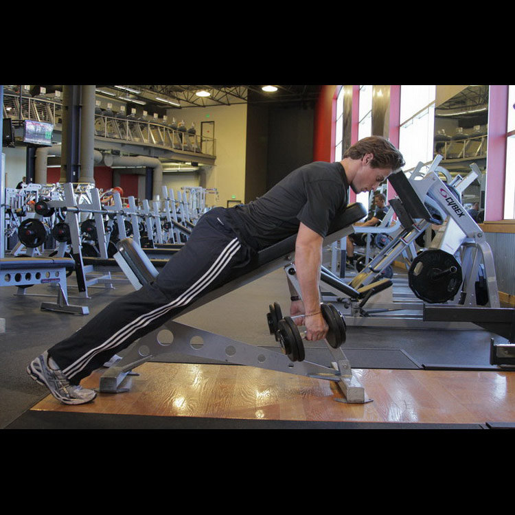 техника выполнения упражнения: Тяга гантелей на наклонной скамье (Dumbbell Incline Row) на фото техника выполнения упражнения: Тяга гантелей на наклонной скамье (Dumbbell Incline Row) на фото