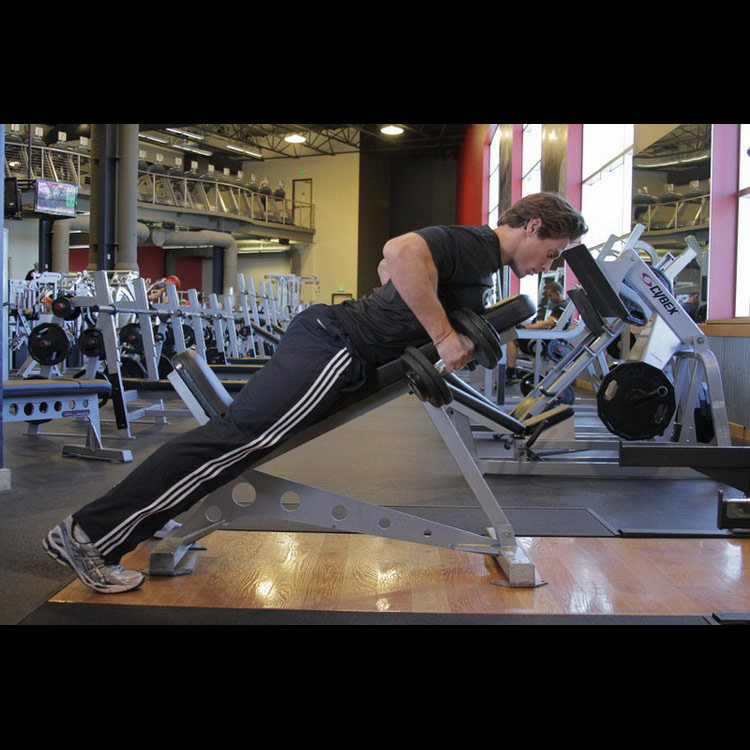 техника выполнения упражнения: Тяга гантелей на наклонной скамье (Dumbbell Incline Row) на фото техника выполнения упражнения: Тяга гантелей на наклонной скамье (Dumbbell Incline Row) на фото