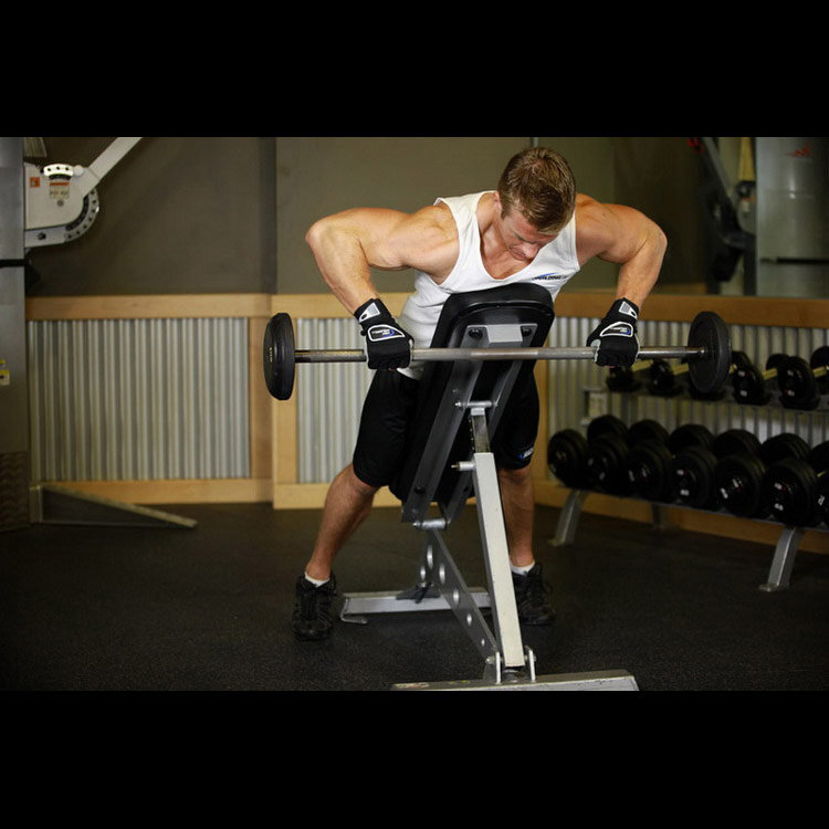 техника выполнения упражнения: Тяга на наклонной скамье (Incline Bench Pull) на фото техника выполнения упражнения: Тяга на наклонной скамье (Incline Bench Pull) на фото