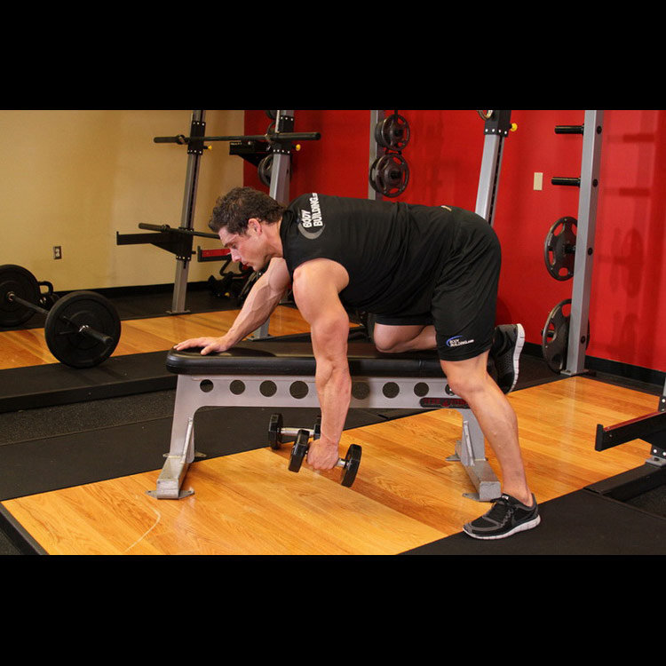 техника выполнения упражнения: Тяга гантели в наклоне (One-Arm Dumbbell Row) на фото техника выполнения упражнения: Тяга гантели в наклоне (One-Arm Dumbbell Row) на фото