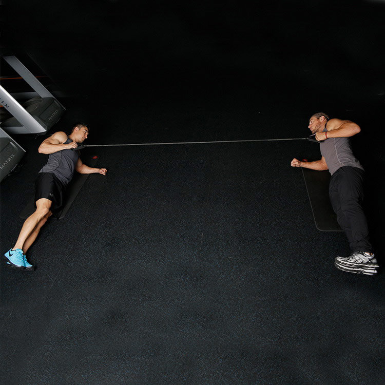 техника выполнения упражнения: Тяга резиновой ленты из боковой планки лицом к партнёру (Partner Facing Side Plank With Band Row) на фото