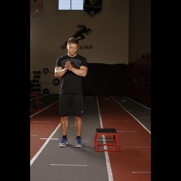 техника выполнения упражнения: Боковые прыжки на ящик (Lateral Box Jump) на фото техника выполнения упражнения: Боковые прыжки на ящик (Lateral Box Jump) на фото