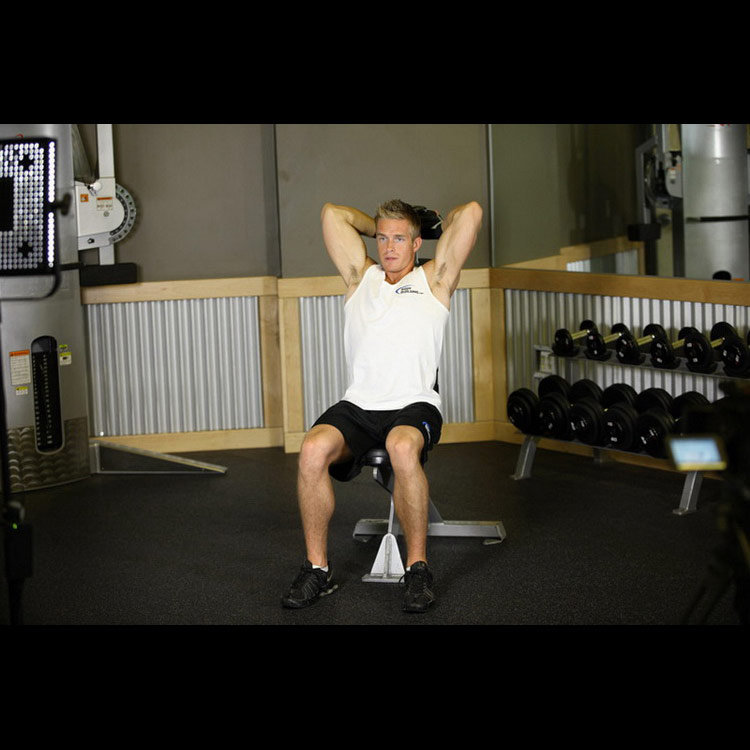 техника выполнения упражнения: Французский жим сидя (Seated Triceps Press) на фото техника выполнения упражнения: Французский жим сидя (Seated Triceps Press) на фото