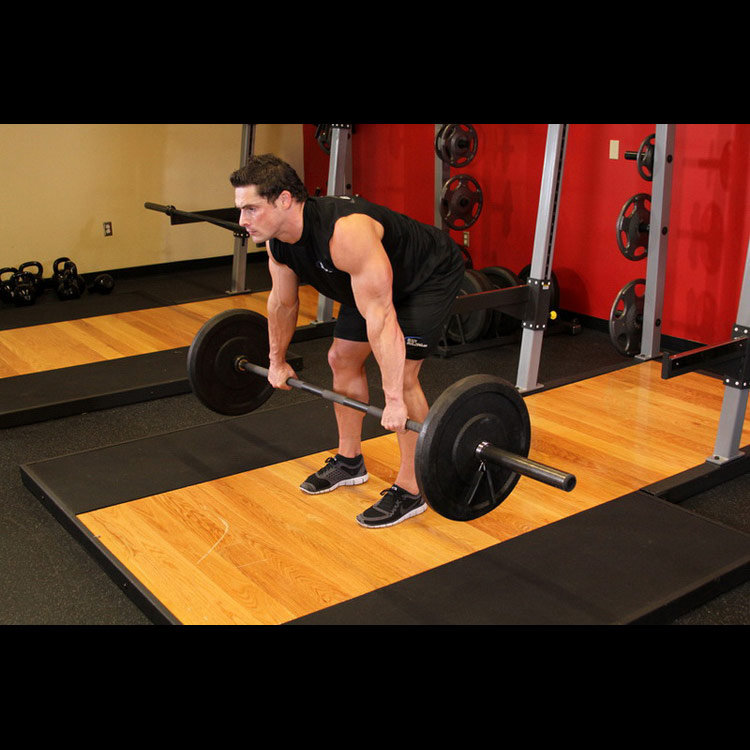 техника выполнения упражнения: Тяга штанги к груди в наклоне (Barbell Rear Delt Row) на фото