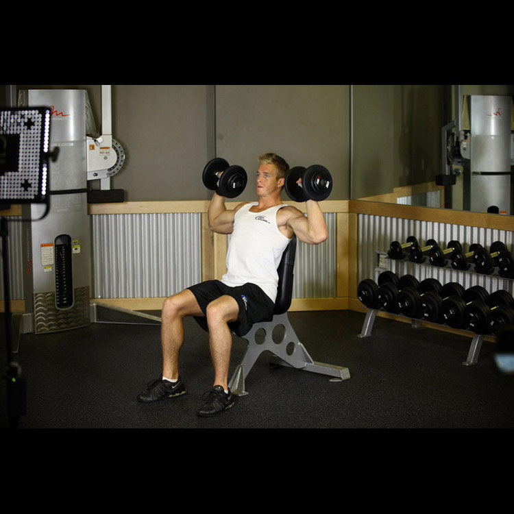 техника выполнения упражнения: Жим гантелей сидя (Dumbbell Shoulder Press) на фото