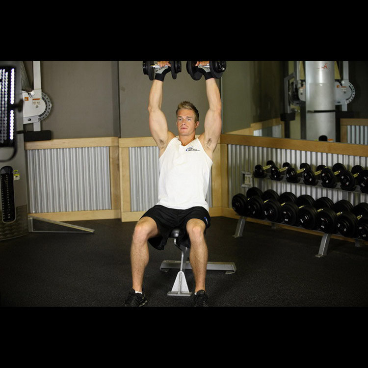 техника выполнения упражнения: Жим гантелей сидя (Seated Dumbbell Press) на фото техника выполнения упражнения: Жим гантелей сидя (Seated Dumbbell Press) на фото