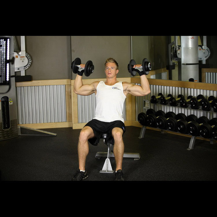 техника выполнения упражнения: Жим гантелей сидя (Seated Dumbbell Press) на фото техника выполнения упражнения: Жим гантелей сидя (Seated Dumbbell Press) на фото