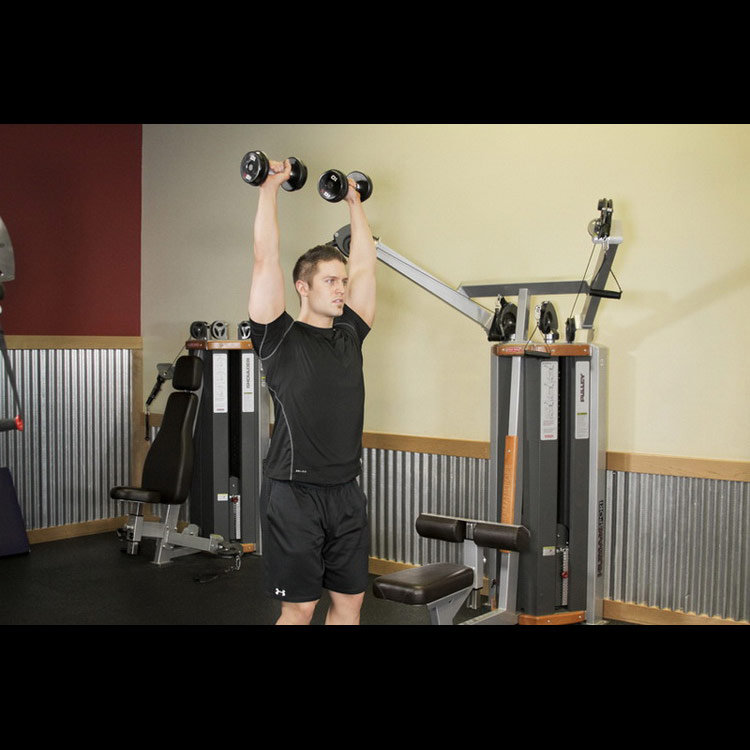 техника выполнения упражнения: Жим гантели стоя (Standing Dumbbell Press ) на фото техника выполнения упражнения: Жим гантели стоя (Standing Dumbbell Press ) на фото
